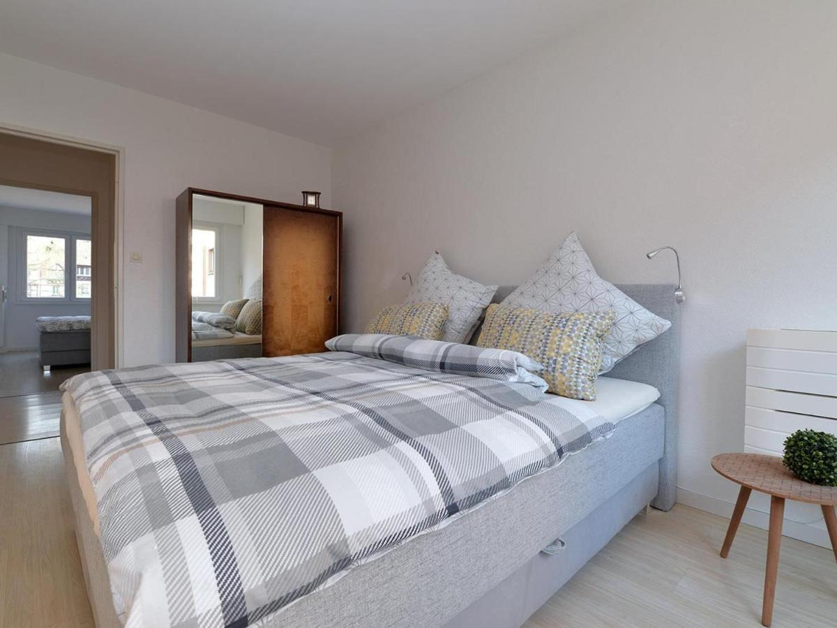 De Luxe En Hyper-centre Avec 3 Chambres, Balcon, Parking, Proche Musee Unterlinden - Fr-1-744-37 *